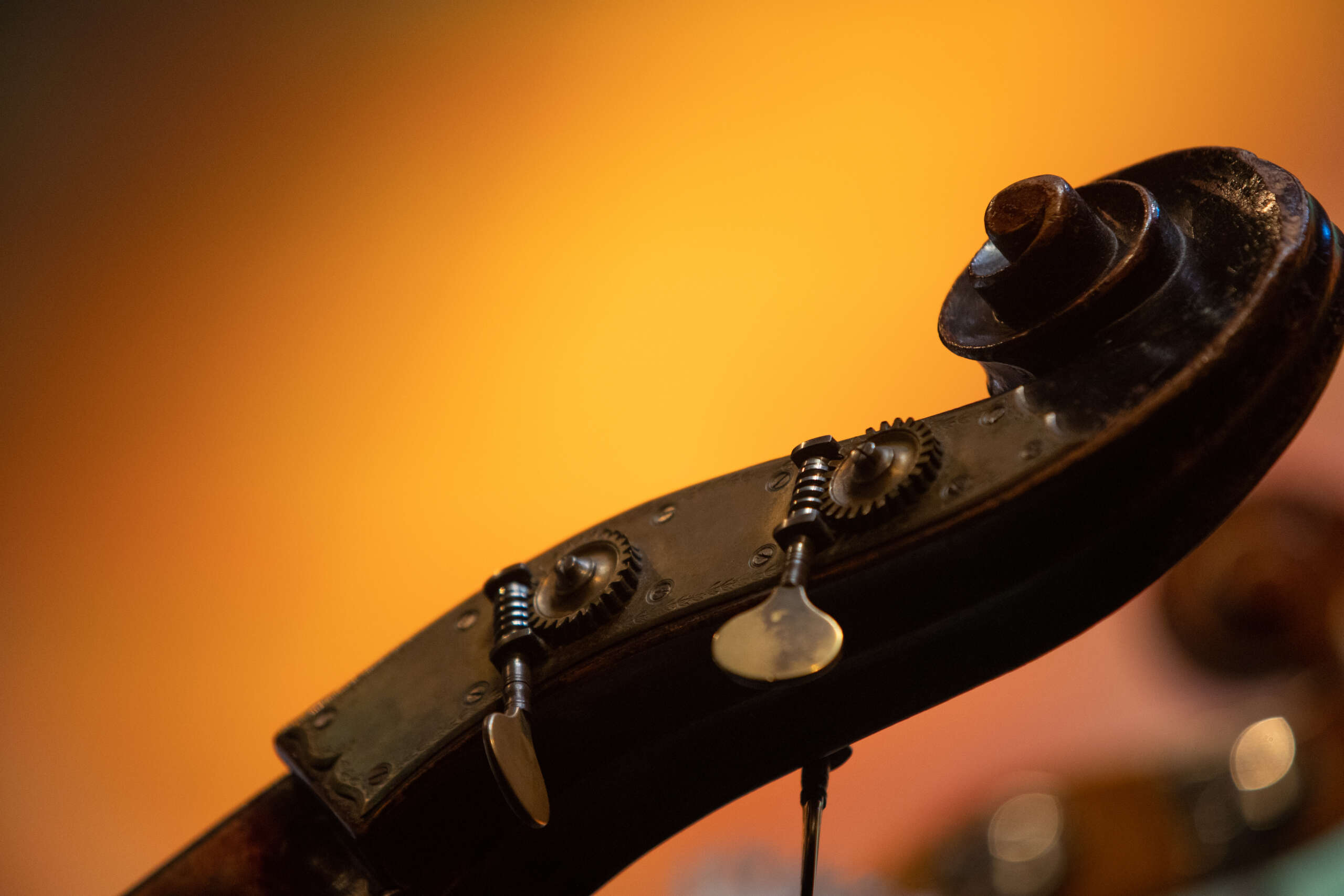 Голова виолончели