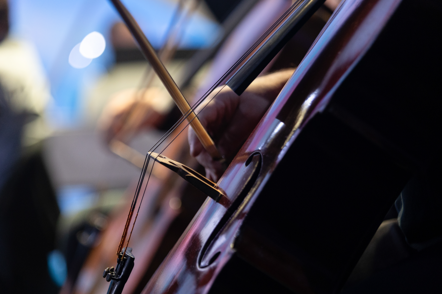 Виолончели